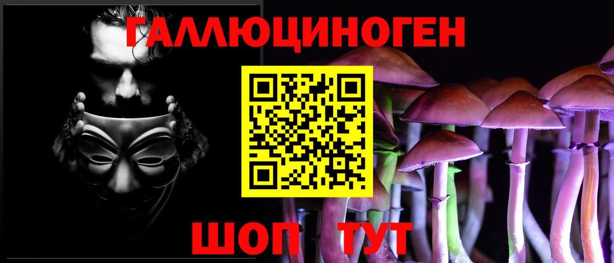 Смоленск  Псилоцибиновые грибы Psilocybe  Вход с VPN 